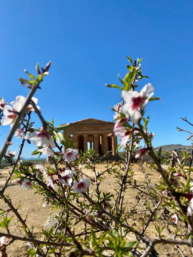 B&B Le Sorelle San Leone Luaran gambar